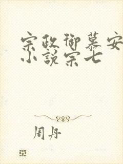 宗政御慕安安的小说宗七