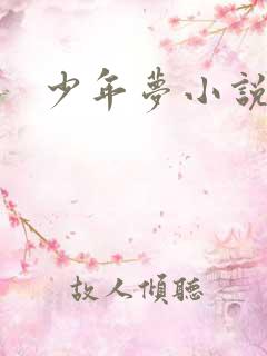 少年梦小说