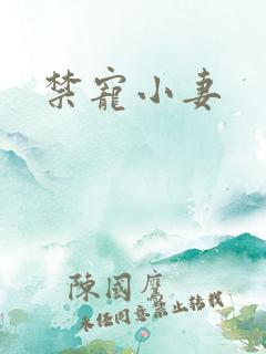 禁宠小妻