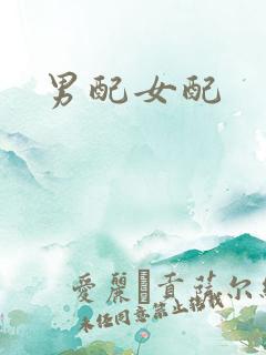 男配女配