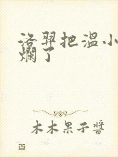 洛羿把温小辉做烂了