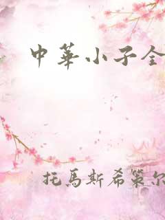 中华小子全集