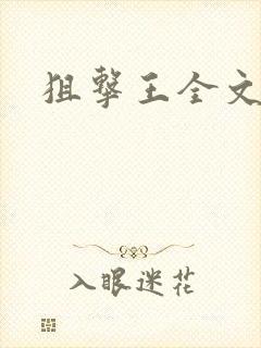 狙击王全文阅读