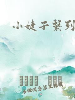 小婕子系列小说
