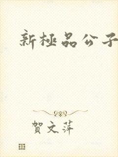 新极品公子