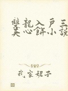 双龙入户三人行夹心饼小说