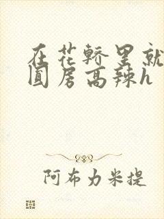 在花轿里就开始圆房高辣h