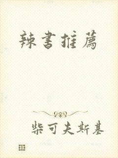 辣书推荐