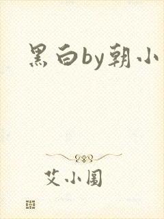 黑白by朝小诚