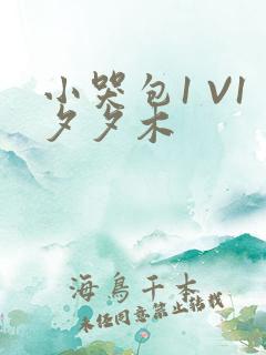 小哭包1 V1夕夕木
