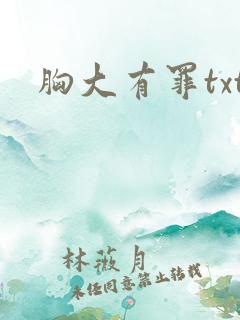 胸大有罪txt