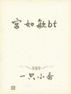 宫如敏bt