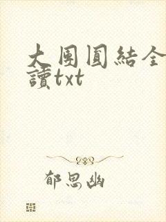 大团圆结全文阅读txt