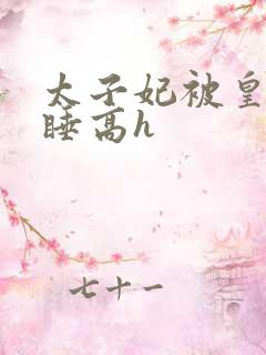 太子妃被皇上强睡高h