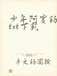 少年阿宾的故事txt下载