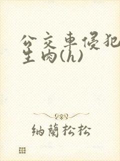 公交车侵犯小男生肉(h)