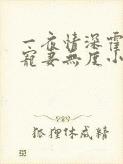 一夜情深霍先生宠妻无度小说免费阅读