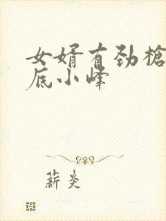 女婿有劲枪枪到底小峰