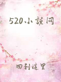 520小说网