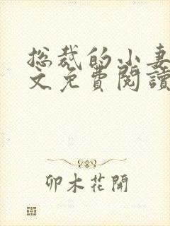 总裁的小妻子全文免费阅读