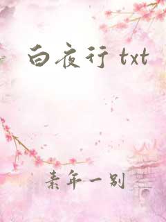 白夜行 txt
