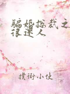 骗婚总裁之老婆很迷人