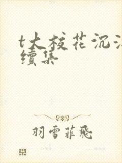 t大校花沉浮录续集