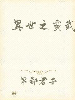 异世之灵武天下