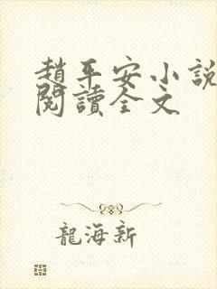 赵平安小说免费阅读全文