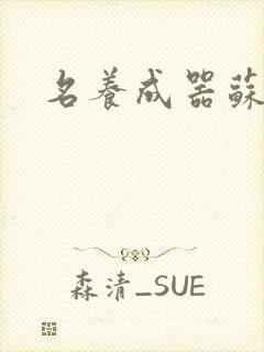 名养成器苏沫沫