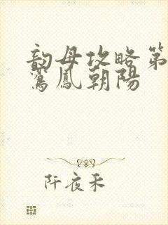 韵母攻略第二部鸾凤朝阳