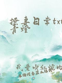 撩妻日常txt青灯