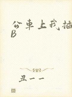 公车上我插上骚B