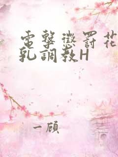 电击惩罚花蒂榨乳调教H