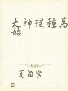 大神从种马文开始