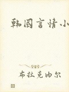 韩国言情小说