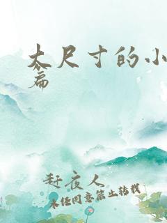 大尺寸的小说短篇