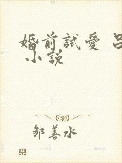 婚前试爱 吕颜 小说
