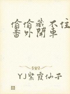 偷偷藏不住婚后番外开车