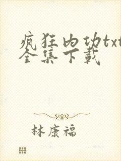 疯狂内功txt全集下载