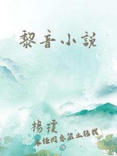 黎音小说