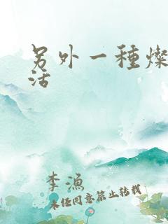 另外一种灿烂生活