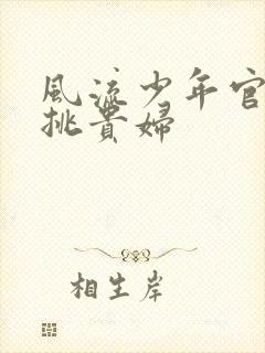风流少年官途情挑贵妇