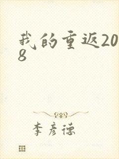 我的重返2008