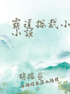 霸道总裁小娇妻小说