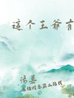 这个王爷有点坏