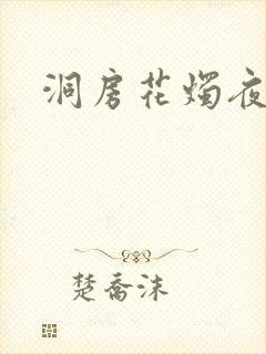 洞房花烛夜小说