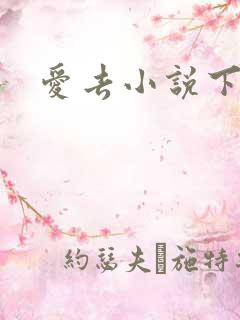 爱去小说下载网