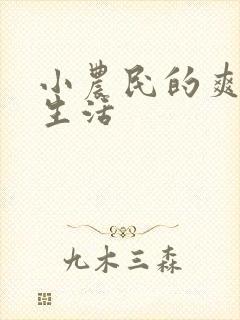 小农民的爽歪歪生活