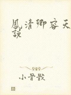 凤清卿容天凌小说